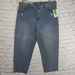 Dip Jeans Womens Plus Sz 18W High-Rise Distressed Straight Raw Hem New